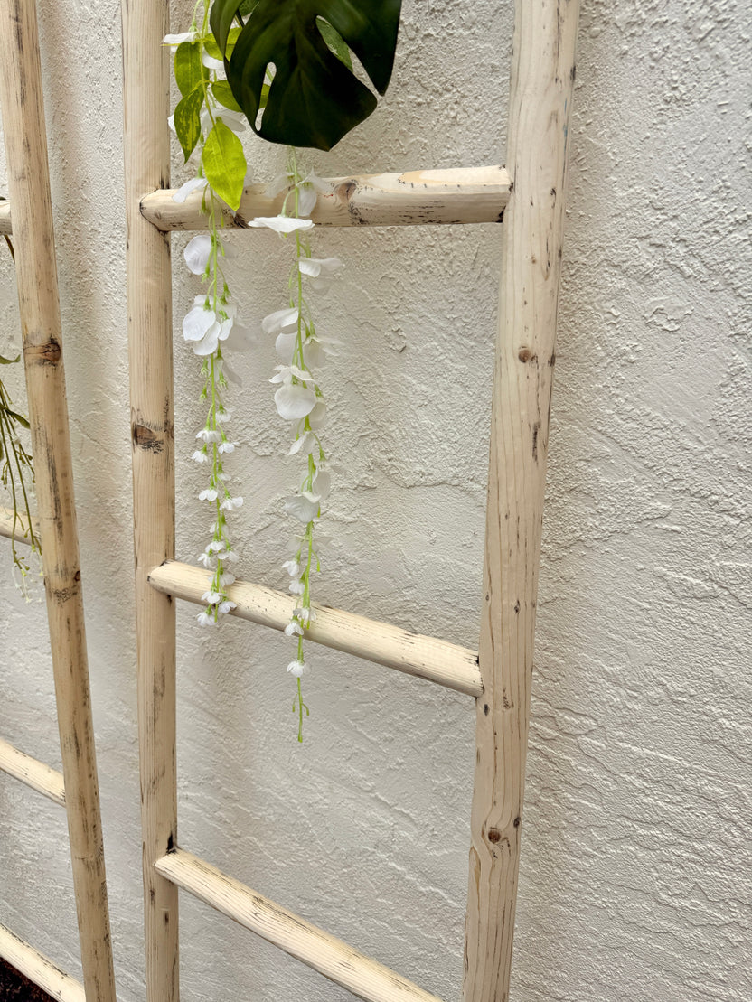 Rustic Pine Wood Decorative Ladder - Image 6