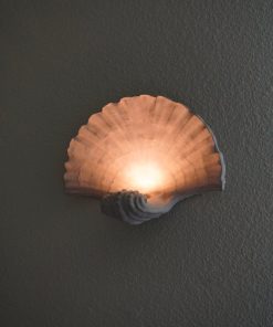 Natural Sandstone Seashell Wall Sconce